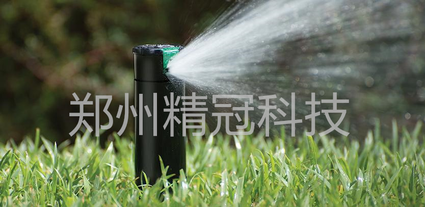20190429162838_5172.jpg